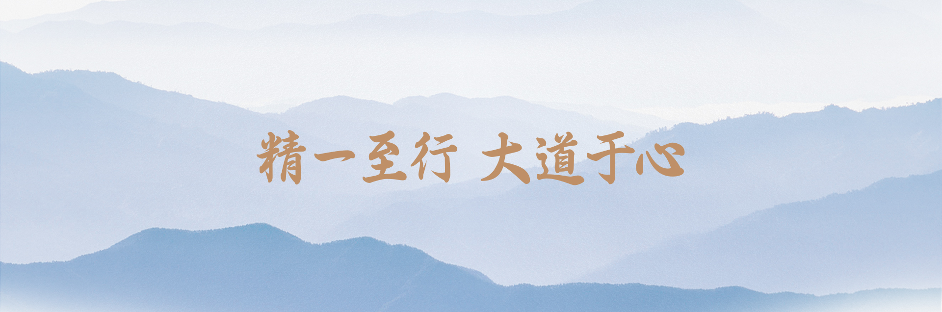 汇赢国际